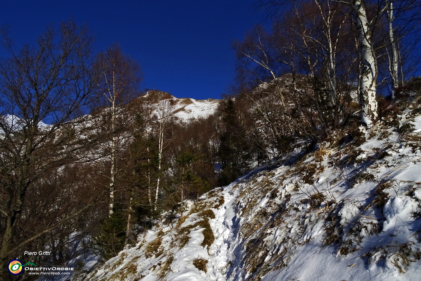 14 Sentiero ricoperto da soffice neve.JPG -                                